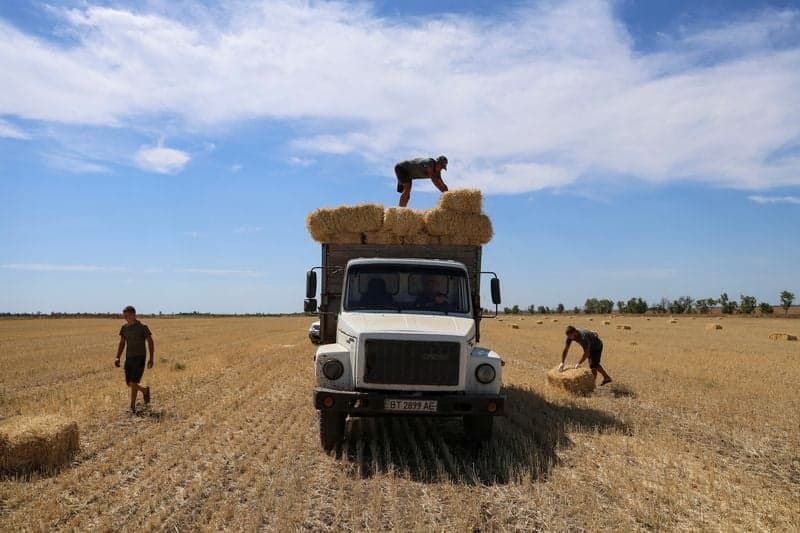 Featured image for article about Headlines