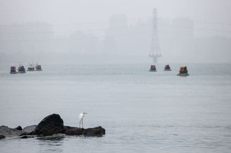 Featured image for article about Headlines