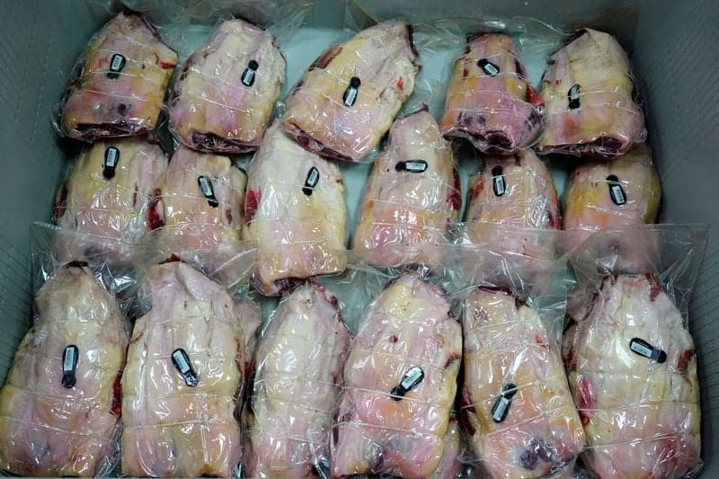 Image for Eight more suspected swine fever cases as Spain struggles to limit export damage