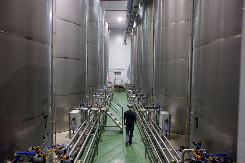 Spain's November industrial output rises 4.5% year-on-year