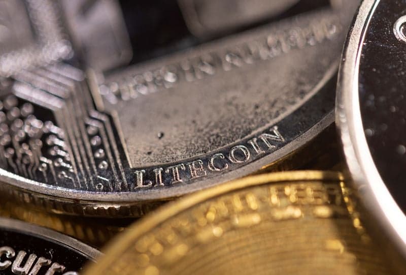 Image for Canary Capital, Bitwise to launch first US altcoin ETFs despite shutdown