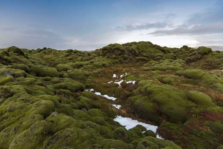 Featured image for article about Top Stories