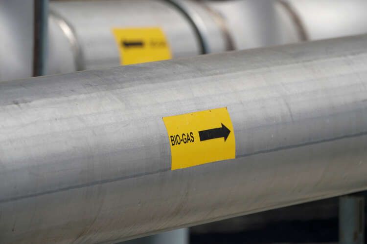 Featured image for article about Top Stories