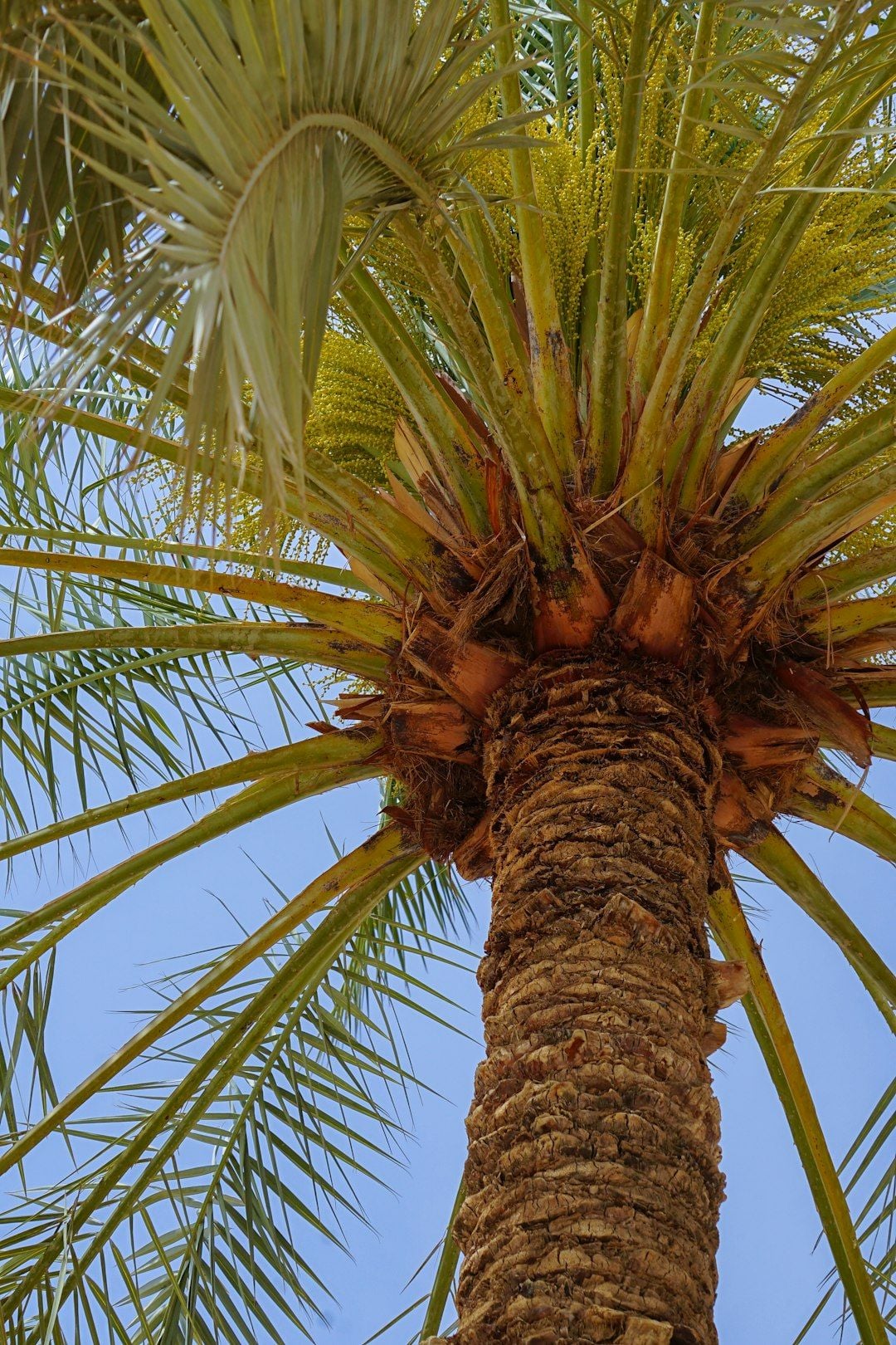 Featured image for article about Finance