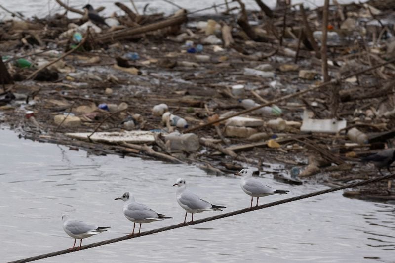 Featured image for article about Headlines