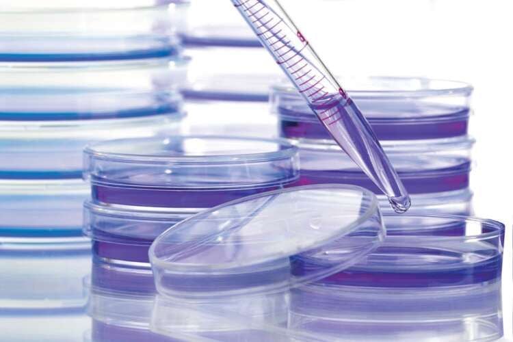 Featured image for article about Top Stories