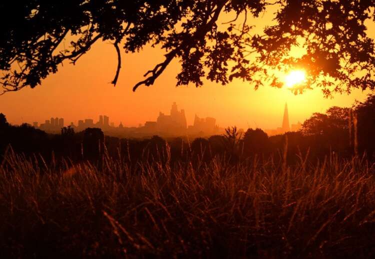 Featured image for article about Top Stories