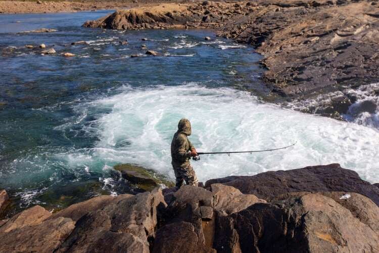 Featured image for article about Top Stories