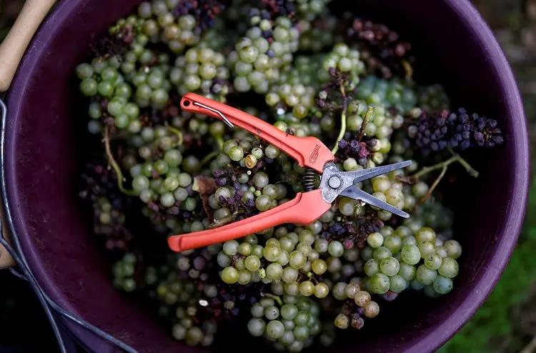 Featured image for article about Business