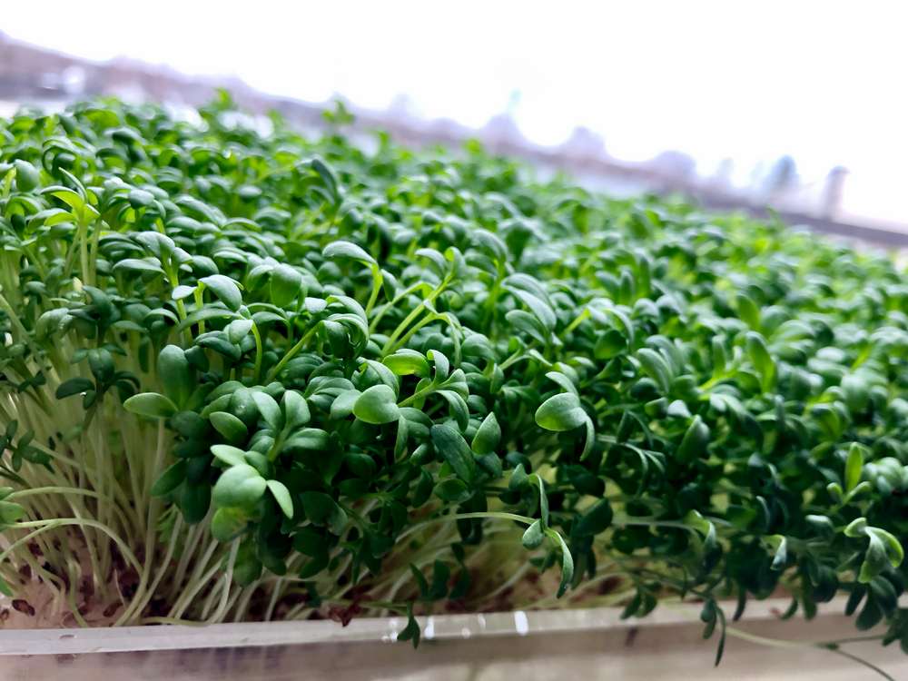 Featured image for article about Investing