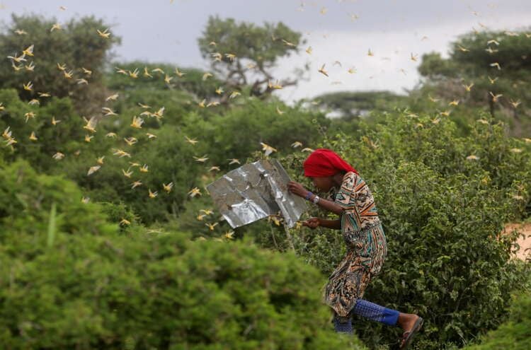 Featured image for article about Top Stories