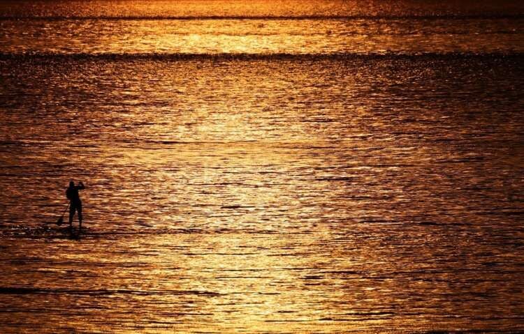 Featured image for article about Top Stories