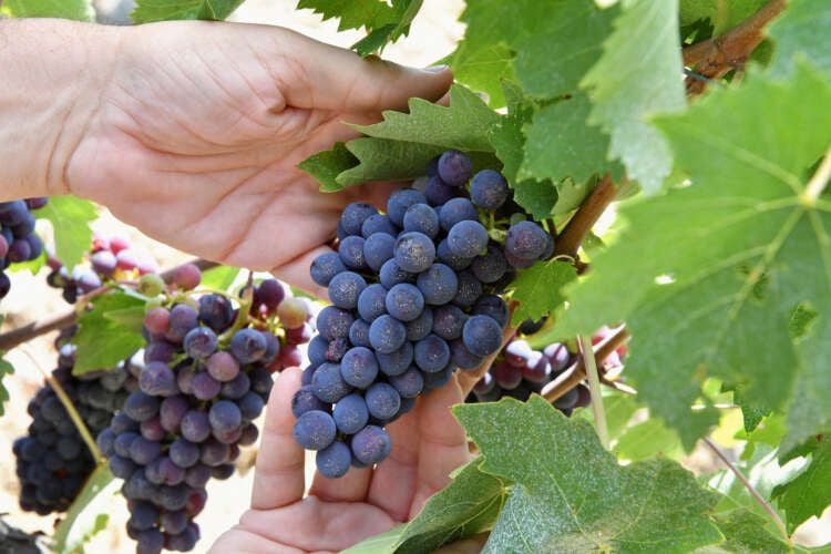 Featured image for article about Top Stories