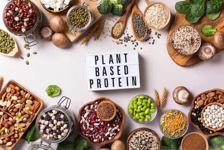 Plant-Based Flavor Market to Reach US$ 17.55 Billion by 2034, Driven by Clean-Label and Vegan Trends