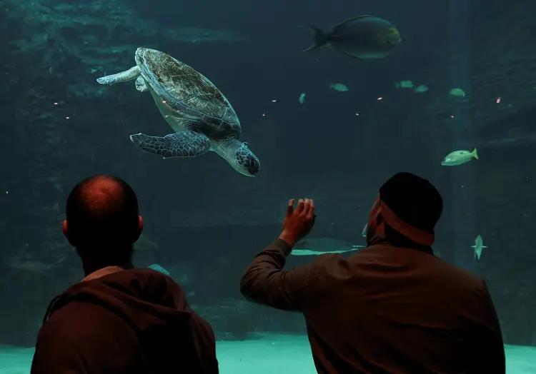 Featured image for article about Top Stories