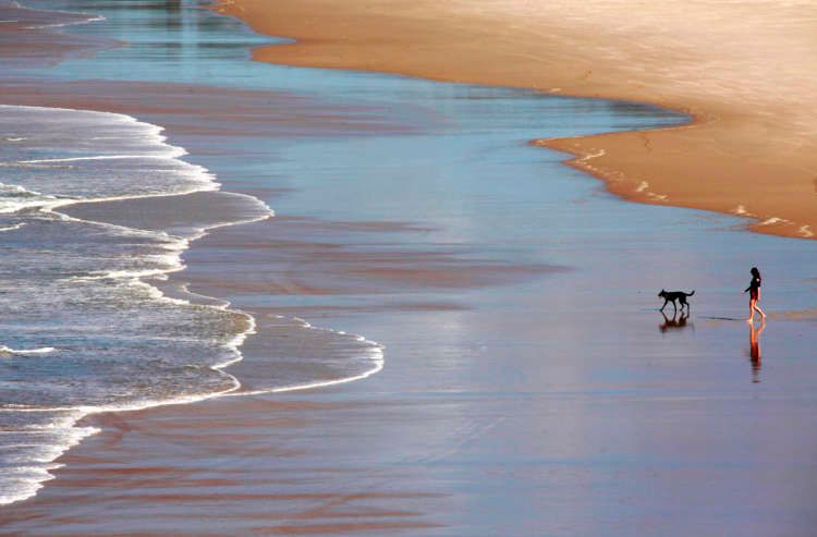 Featured image for article about Top Stories