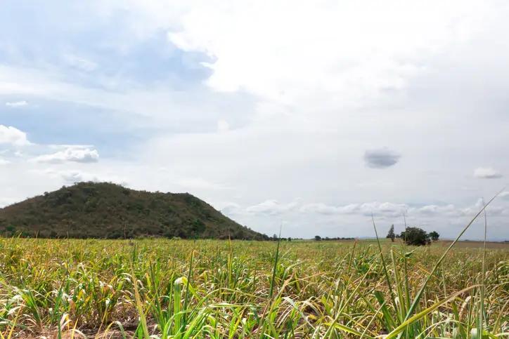 Featured image for article about Research Reports