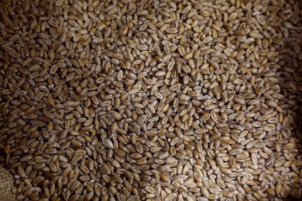 Featured image for article about Business