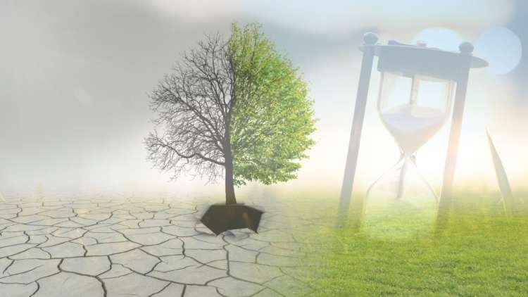 Featured image for article about Top Stories