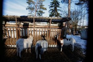 Featured image for article about Finance