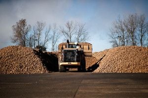 Featured image for article about Finance