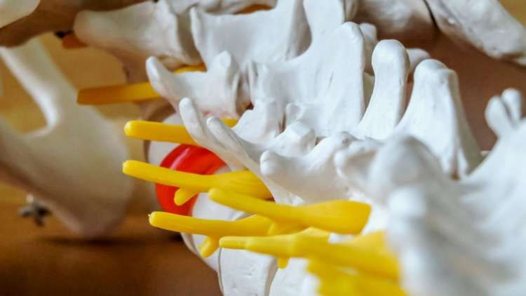 Featured image for article about Research Reports