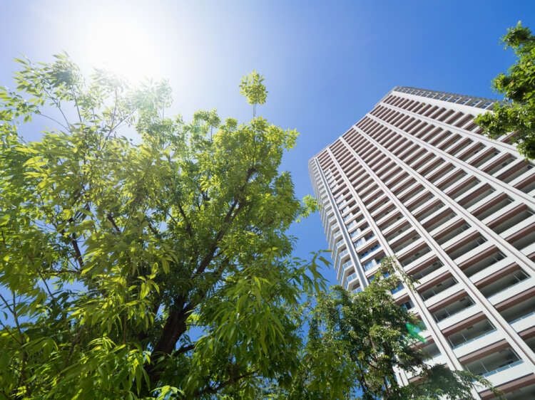 Featured image for article about Investing