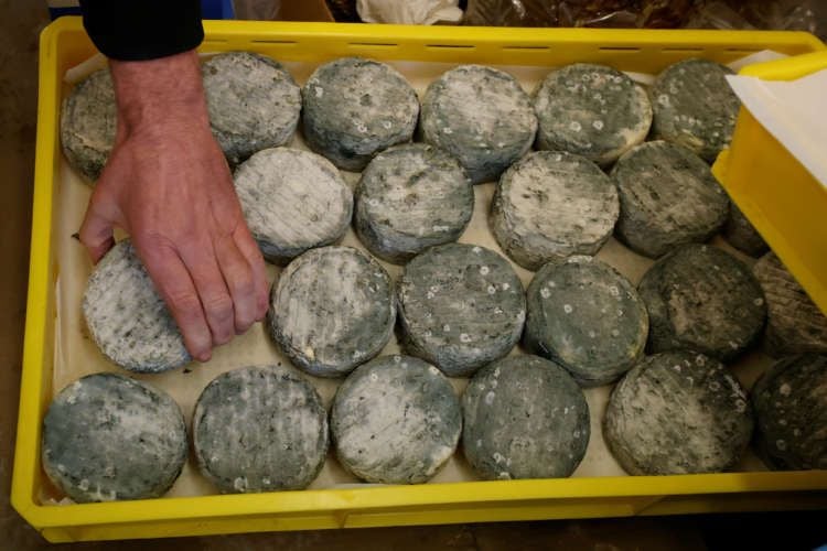 Featured image for article about Business