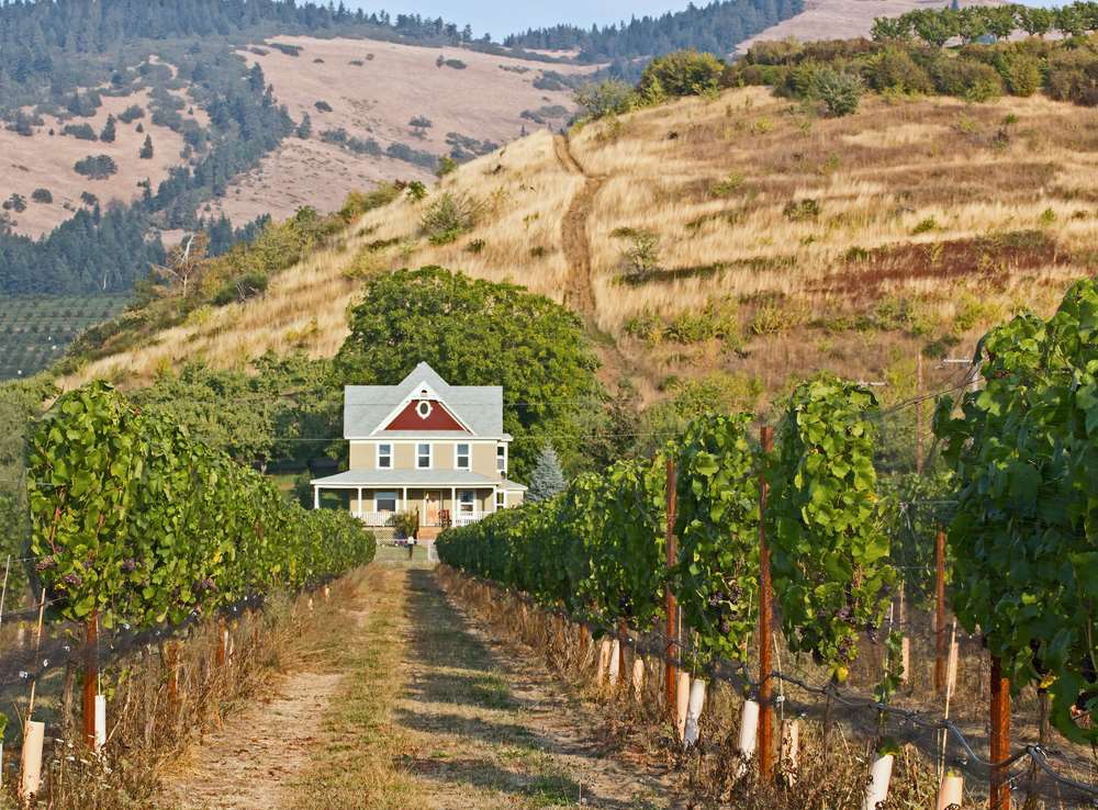 Featured image for article about Finance