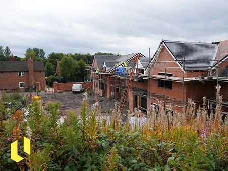 Featured image for article about Top Stories