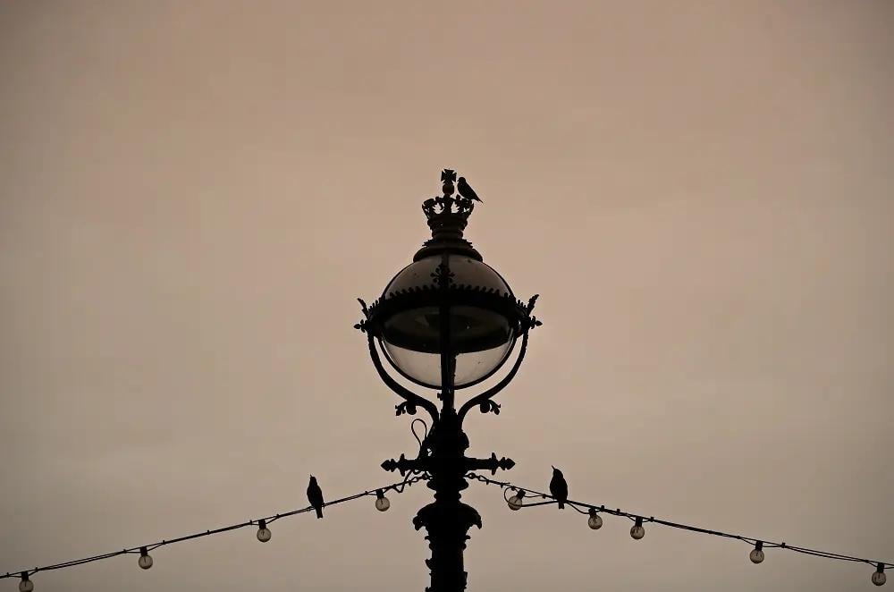 Featured image for article about Finance