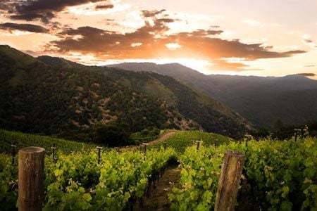 Featured image for article about Top Stories