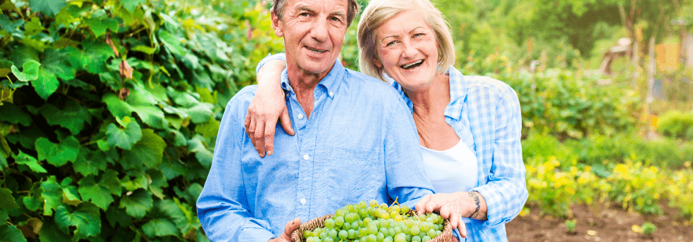 Featured image for article about How To