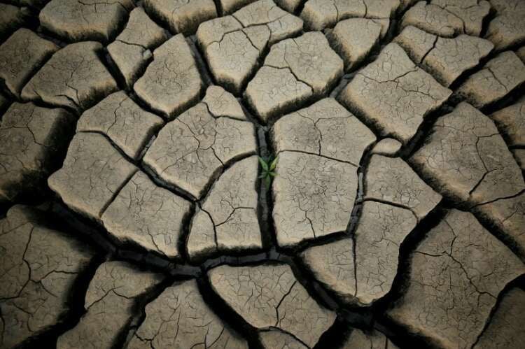 Featured image for article about Investing