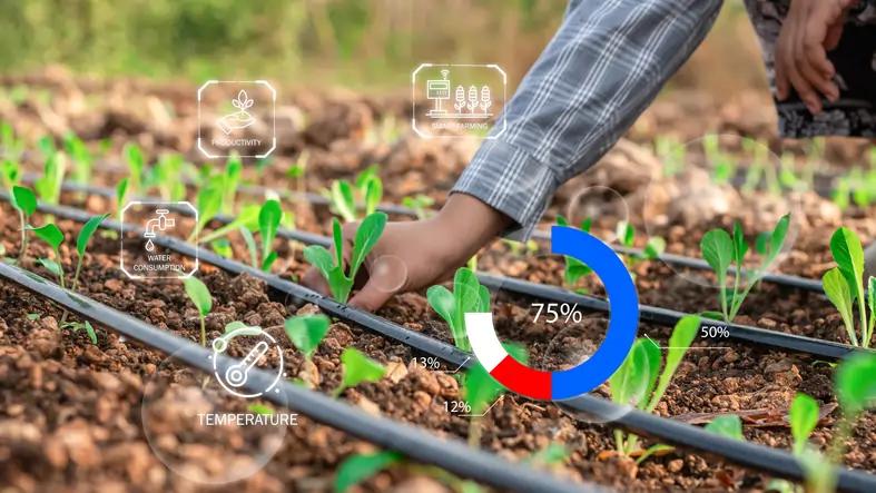 Featured image for article about Research Reports