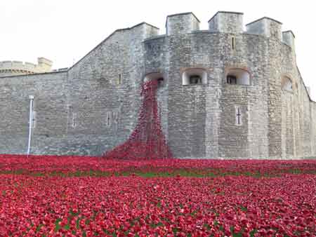 Featured image for article about Top Stories