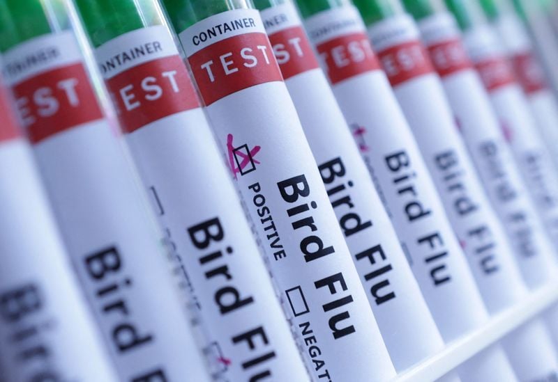 Featured image for article about Headlines