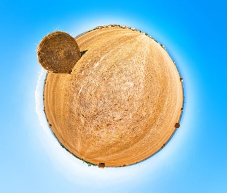 Featured image for article about Top Stories