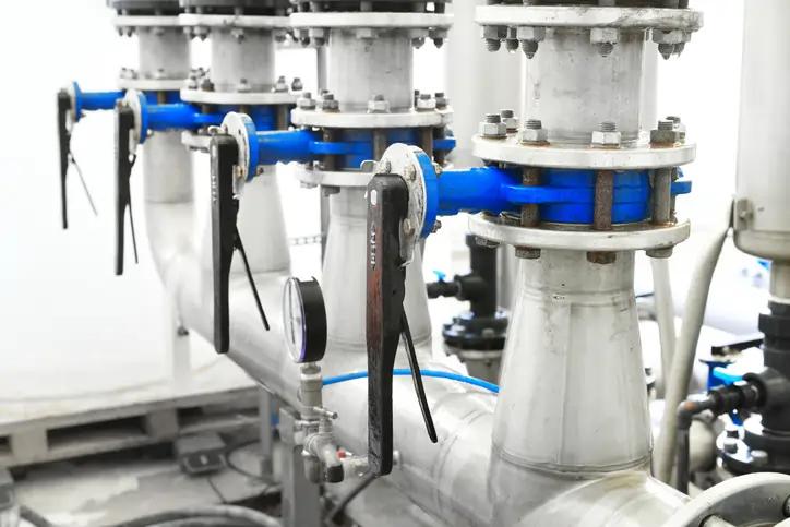 Featured image for article about Research Reports