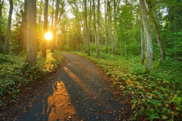 Featured image for article about Business