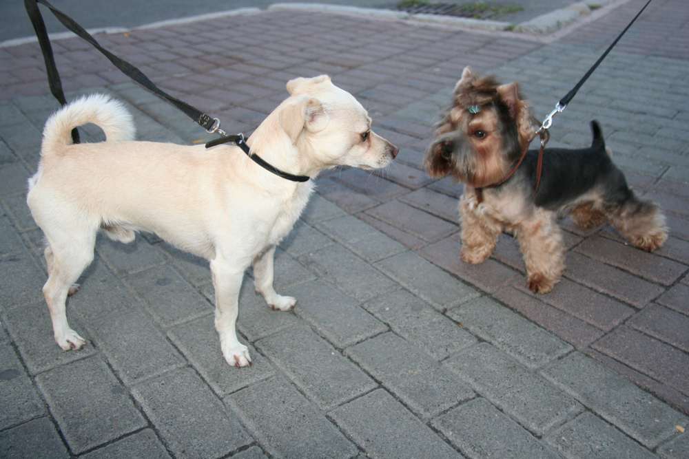 Featured image for article about Finance