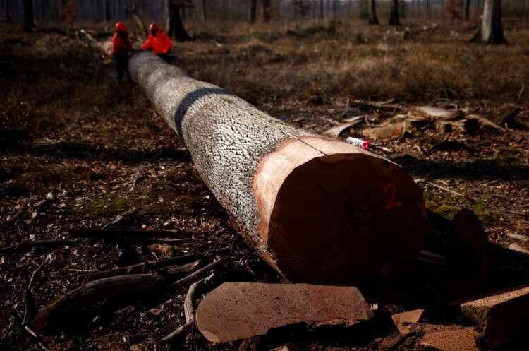 Featured image for article about Top Stories