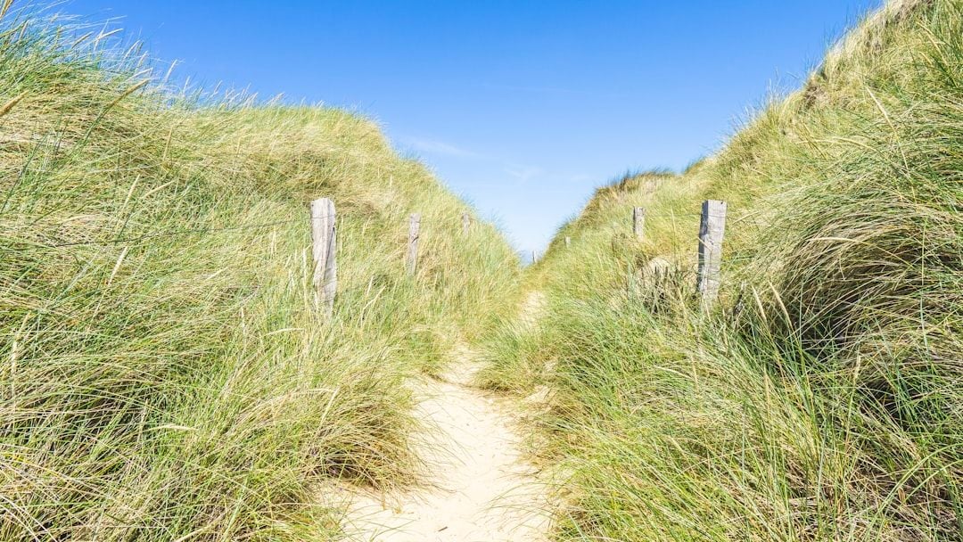 Featured image for article about Finance