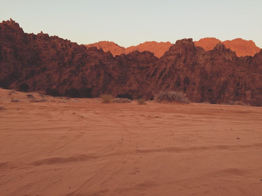 Featured image for article about Finance