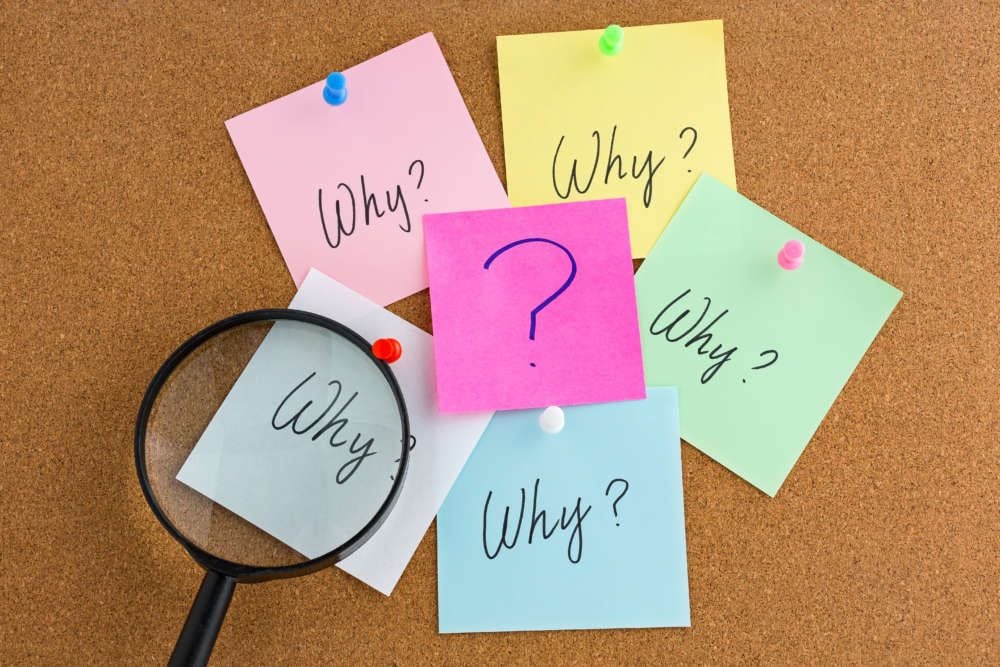 Featured image for article about Top Stories