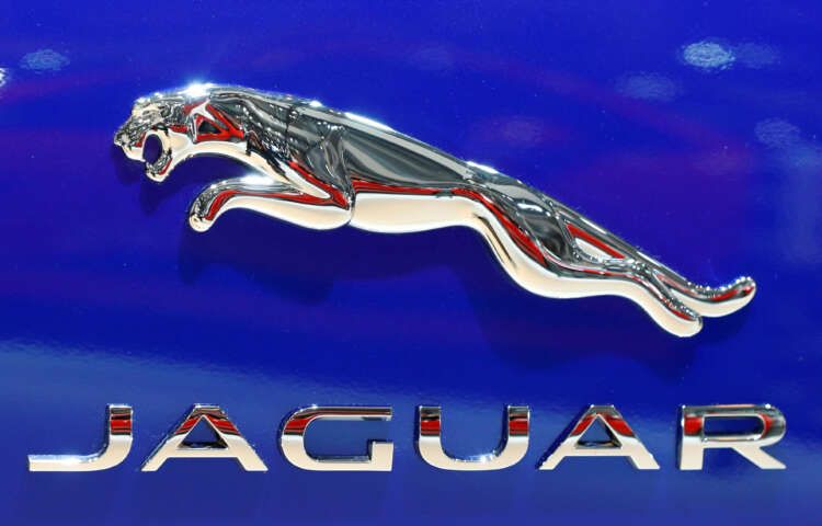 Featured image for article about Top Stories