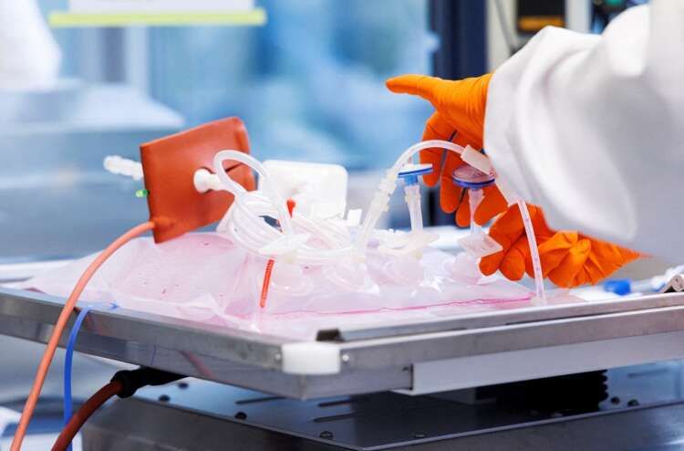 Featured image for article about Top Stories