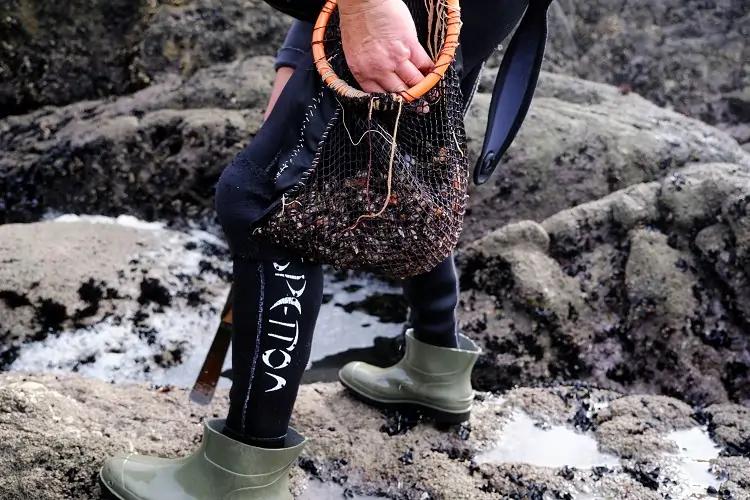 Featured image for article about Top Stories