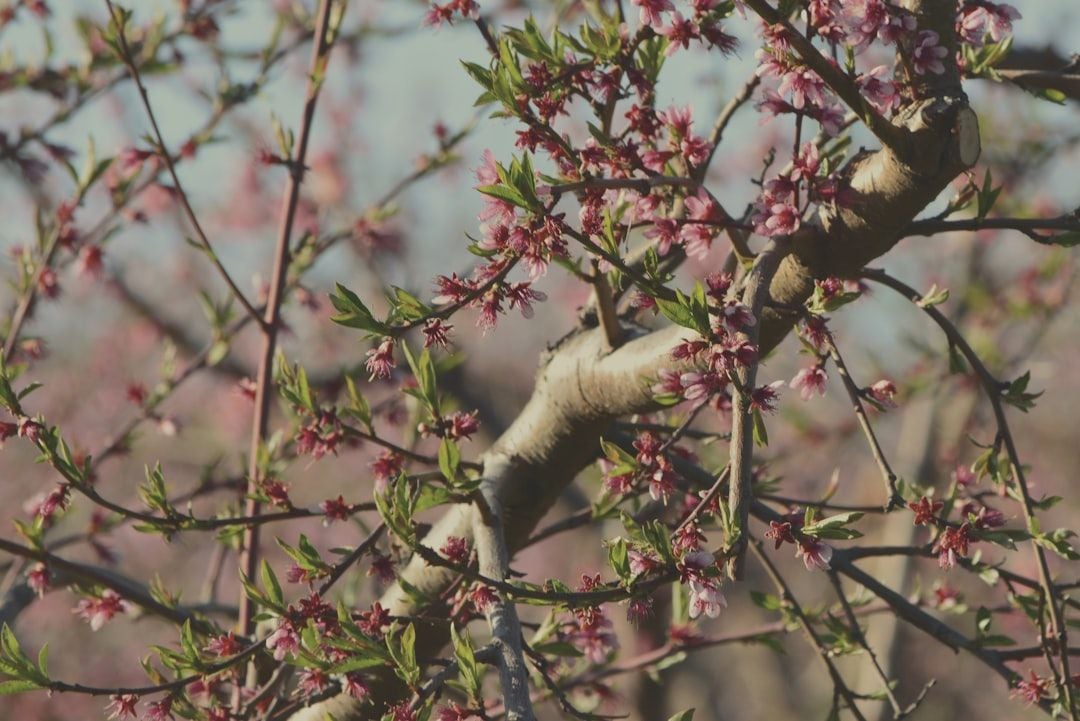 Featured image for article about Finance