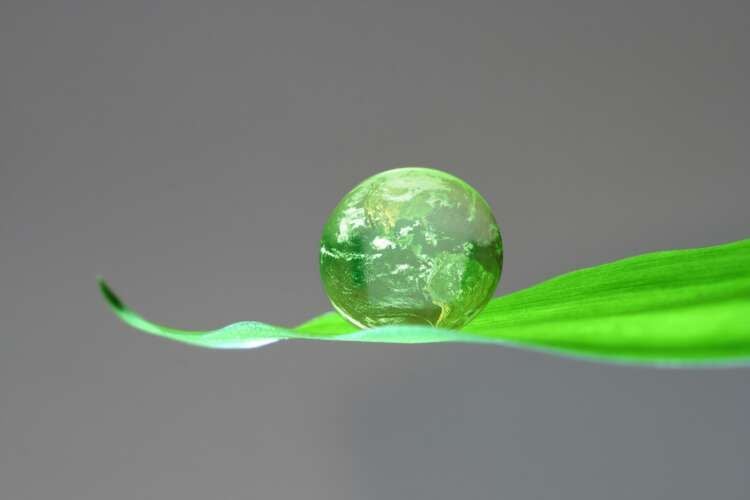 Featured image for article about Top Stories